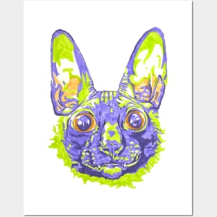 Cornish Rex Posters and Art